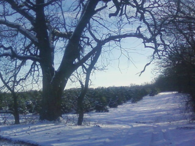 1498996_3727571885727_942635217_o (2)